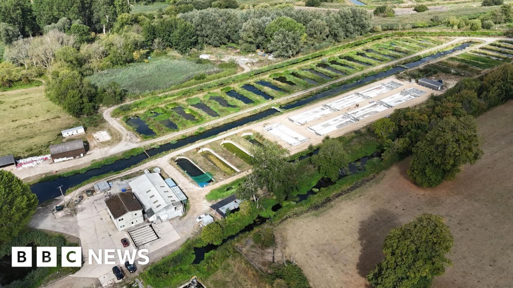 bbc.co.uk - Legal challenge threatens future of Salisbury inland salmon farm