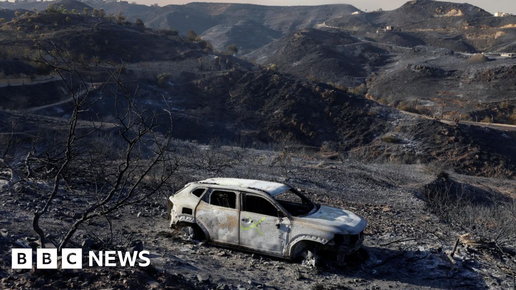 Spain battles to contain one of its deadliest wildfires as at least 12 killed