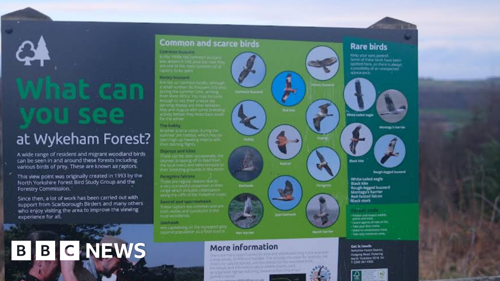 Warning after portable BBQ starts fire in North York Moors forest