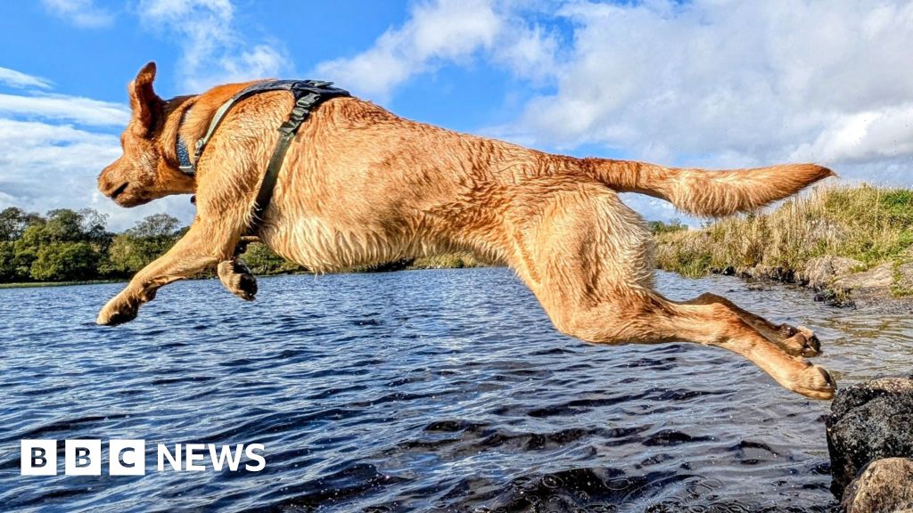 Your pictures of Scotland: Photographs from around the country