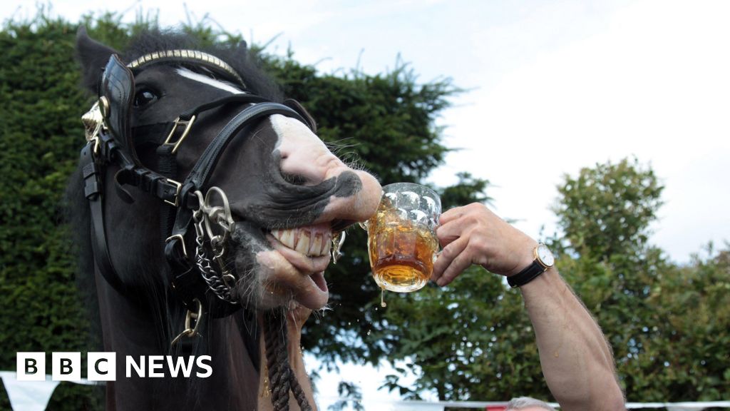bbc.co.uk - Kirsten Robertson - Wadworth brewery shire horses could be commemorated with statue