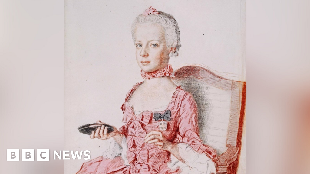 Marie Antoinette portrait really sister, study finds