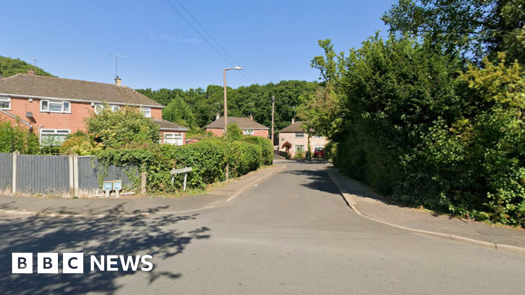 A small road with large hedges either side of it with several two storey semi-detached houses at the end of it. 