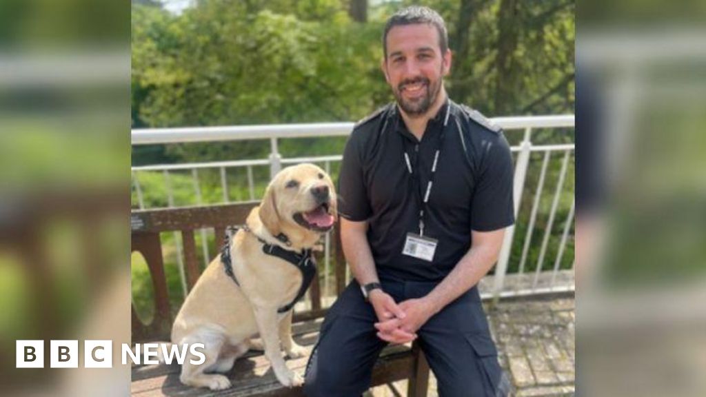 Wiltshire Police officer's campaign to reduce dog attacks - BBC News