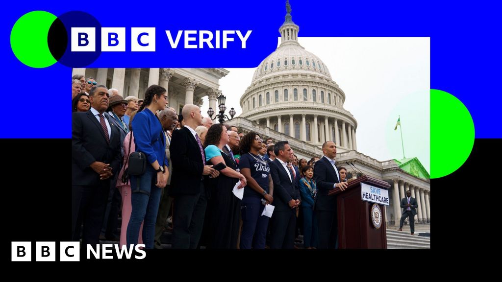 Are Democrats really pushing for free healthcare for undocumented migrants?