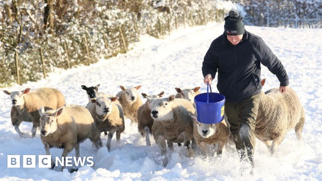 150+ Northern Ireland Schools Close Due to Ice Warning - news news from BBC