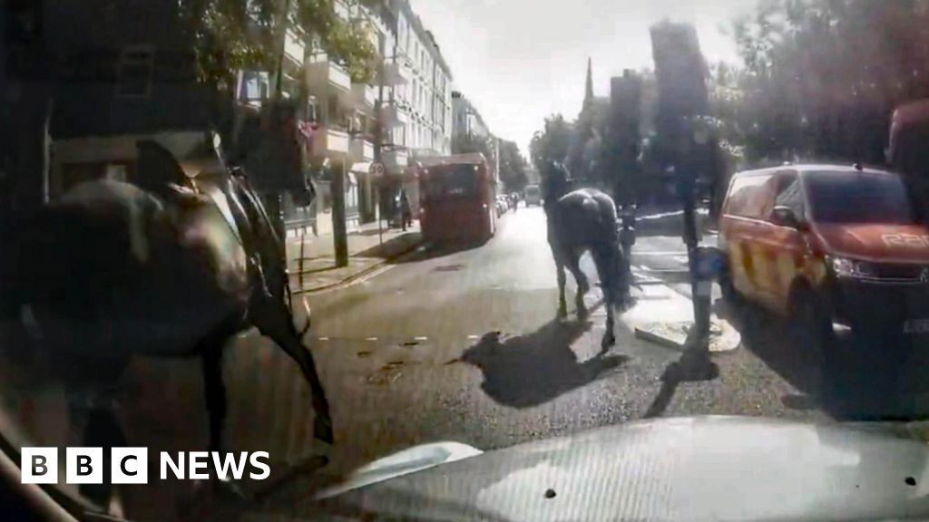 Runaway Household Cavalry horses on loose again in central London