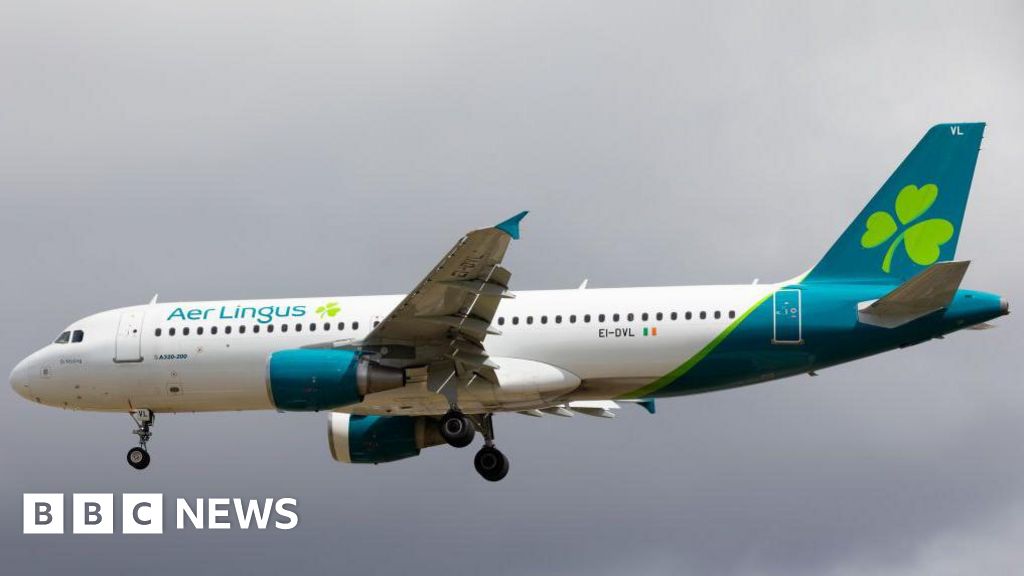 Aer Lingus: More flights cancelled due to dispute over pilot salaries