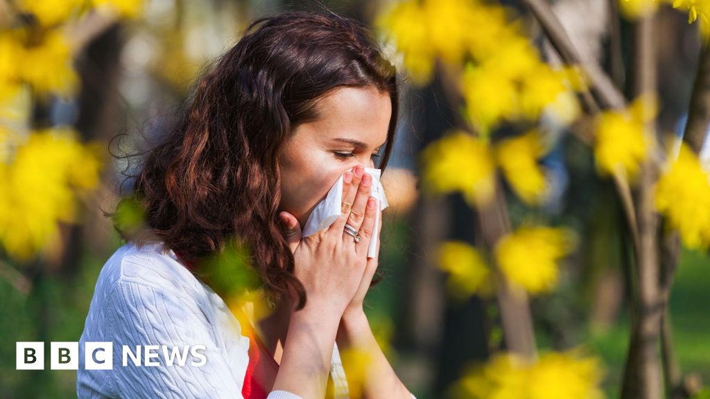 Hay fever season is lasting longer - here's how to cope with it