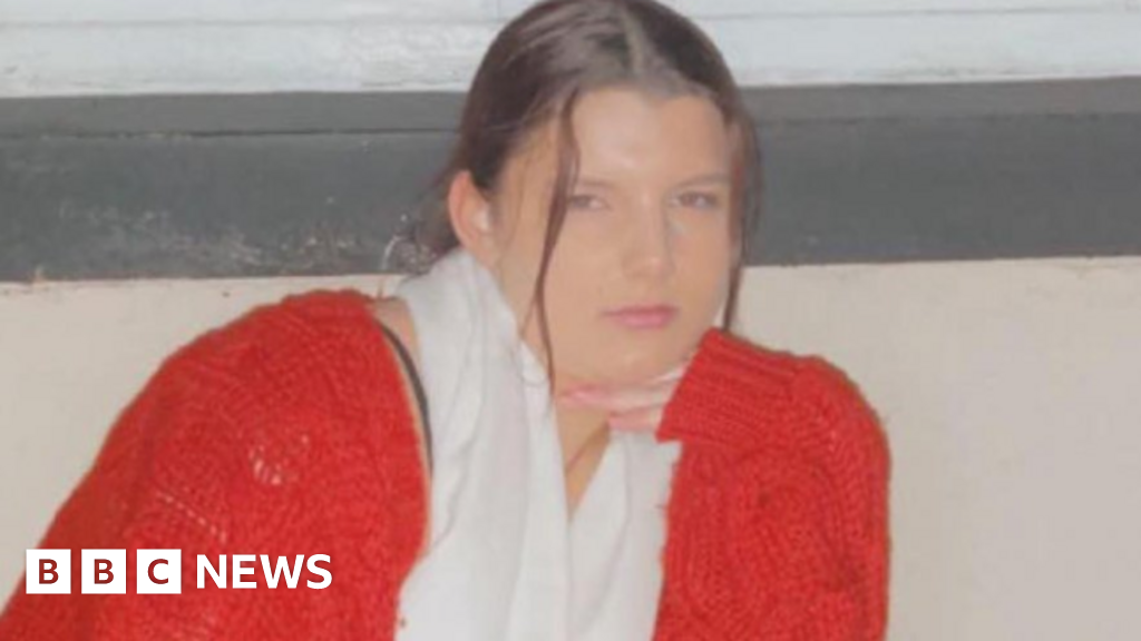 Tamzin Hall: Police face no disciplinary action after M5 death