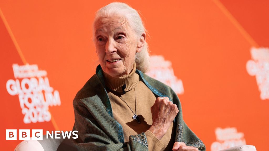 Legendary Conservationist Jane Goodall Dies at 91, Her Revolutionary Legacy Endures