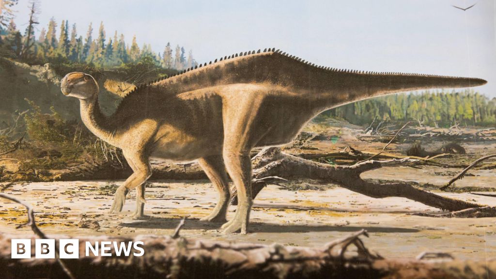 New dinosaur named after record-breaking sailor