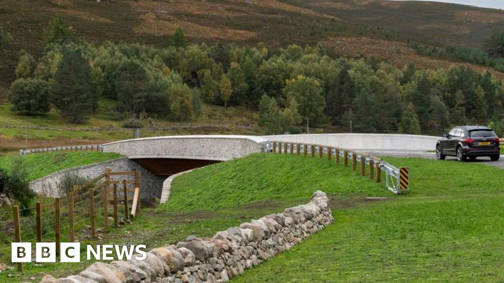 Deeside bridge bolt thieves branded reckless by police