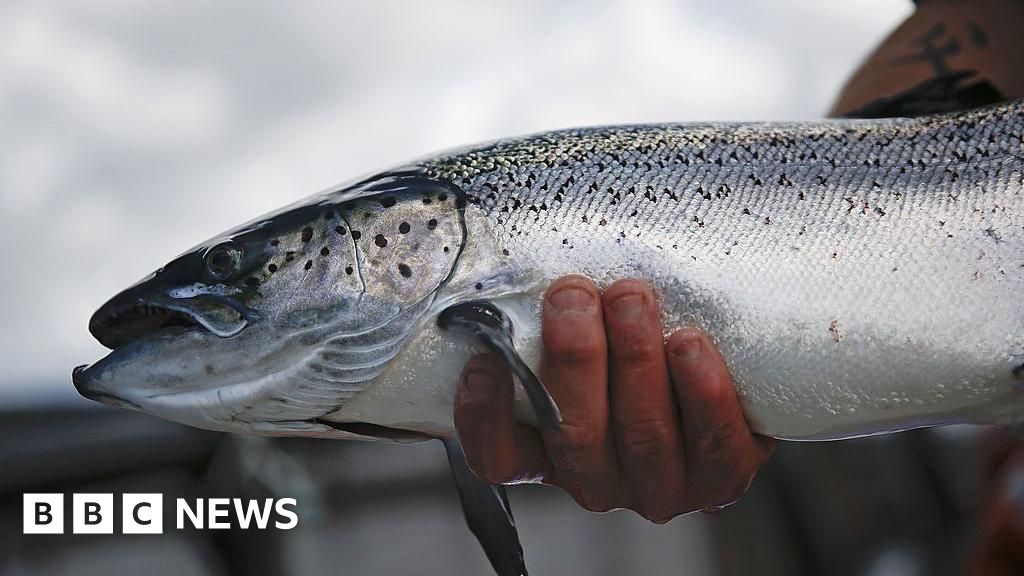 Plans for 'Scotland's largest salmon farm' approved