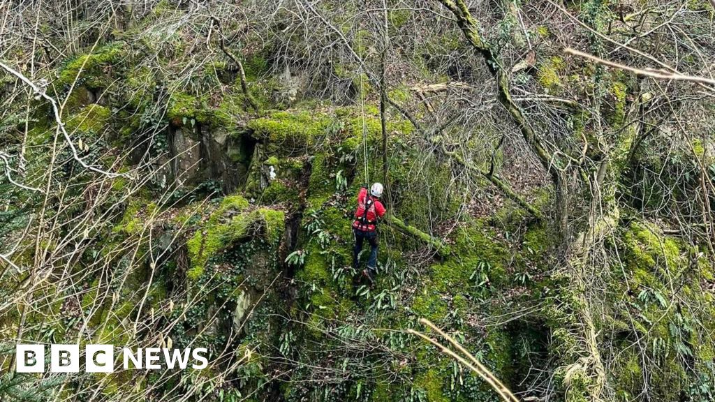 Yorkshire Dales cave rescue team saves dog from eight-metre fall