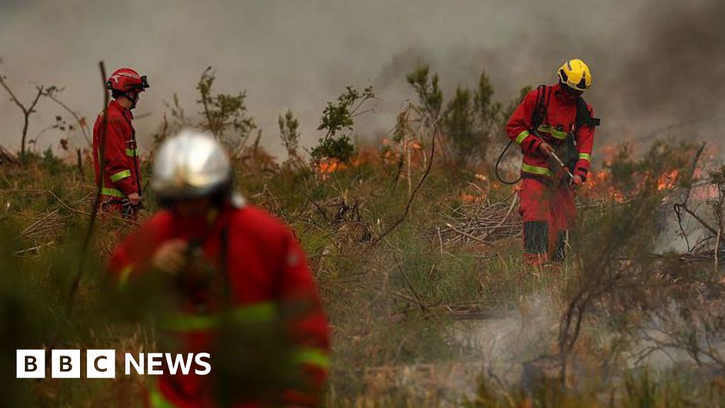 Wildfires force over 330,000 evacuations in France, Spain