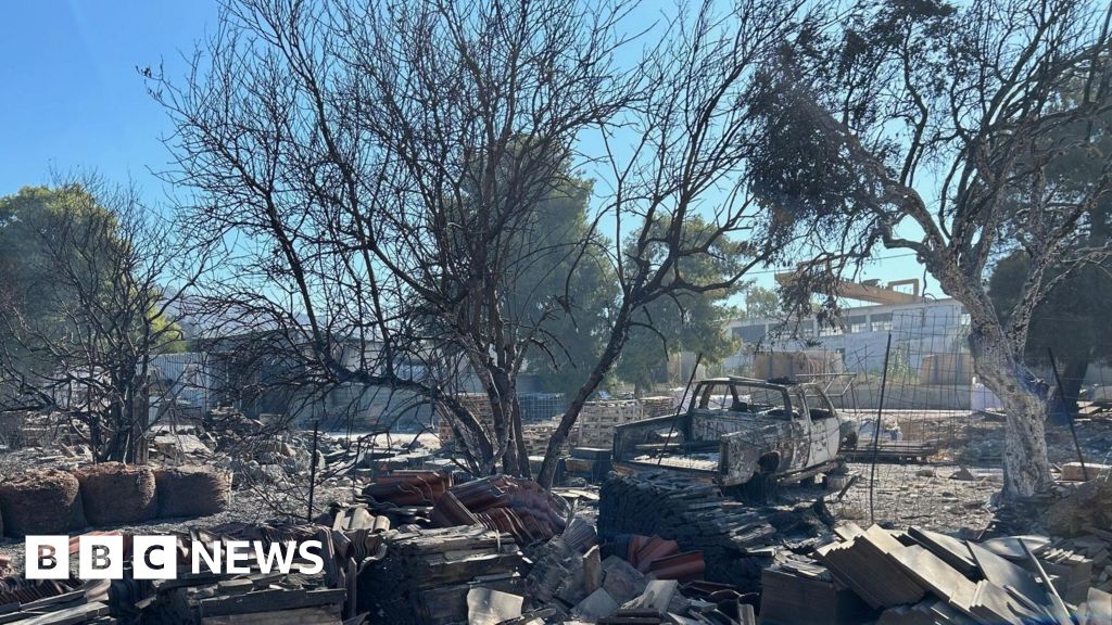 Os incêndios florestais na Grécia aproximam-se de Atenas e os subúrbios contam as perdas