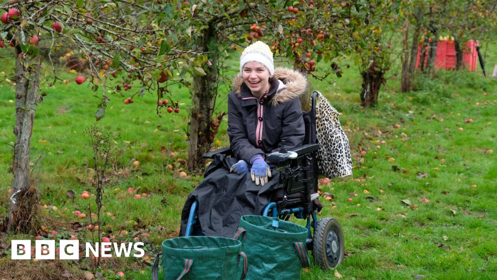 Youth Charity Supports Surrey Orchard Harvest Completion