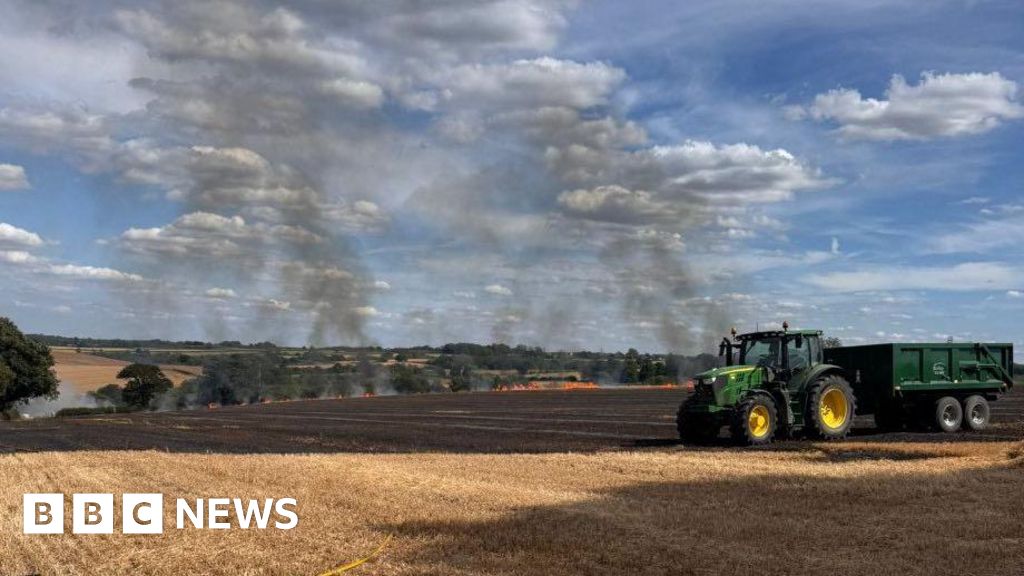 Crops scorched in large field fire next to M1