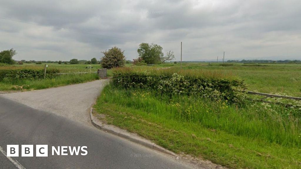 Preston Councillors Approve Solar Farm with Sheep Grazing Under Panels