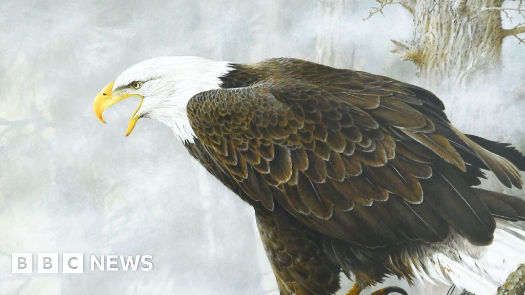 Terance James Bond's wildlife paintings sell for £21,000