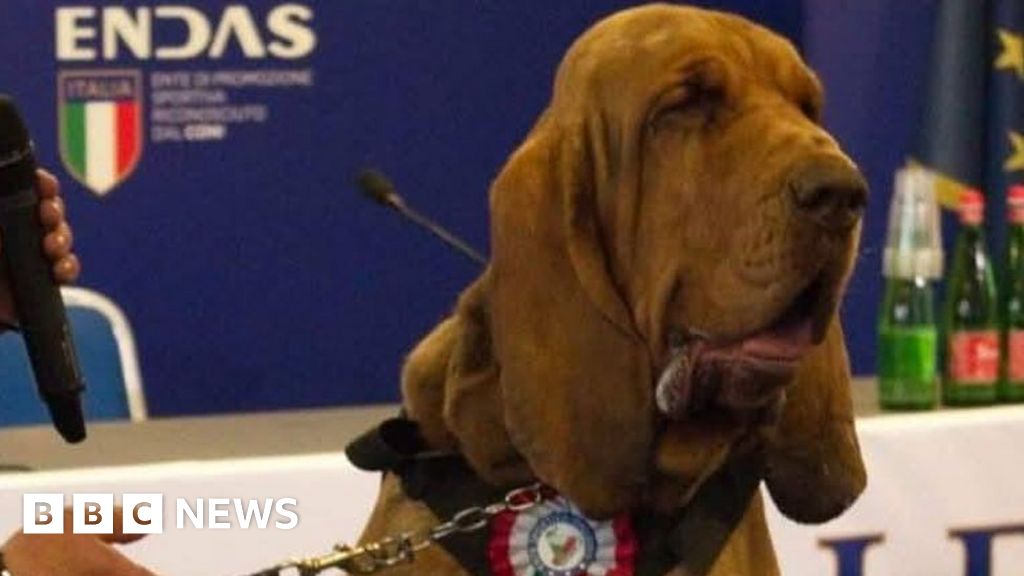 Italian ‘hero’ sniffer dog killed with nail-filled sausages