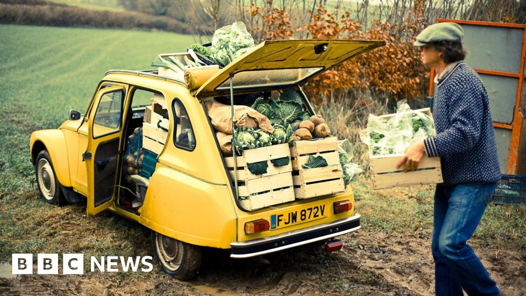 Veg box firm Riverford marks 40 years of organic growing in Devon