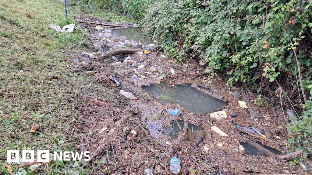 Concerns raised over litter filled brook in Longford