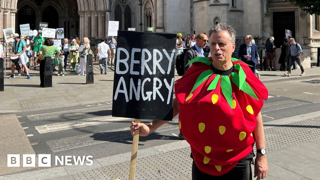 Wimbledon expansion plan to be challenged in court