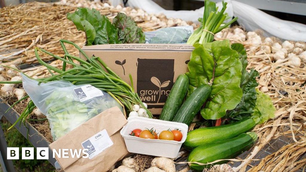 Vegetable boxes for low income households