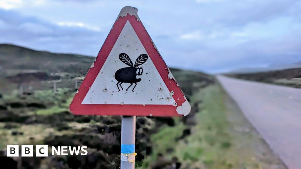 Your pictures of Scotland: Photographs from around the country