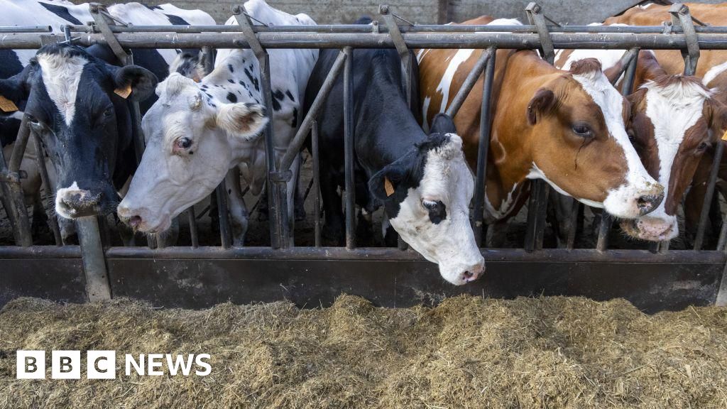 Bluetongue: Restricted zone extended again in the South East