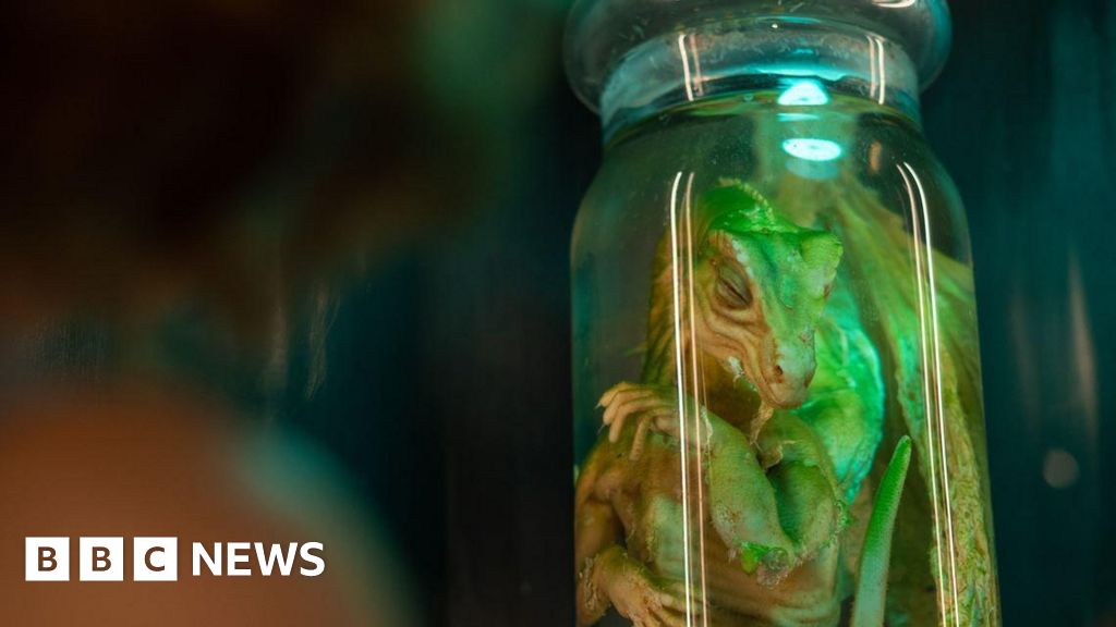 Pickled Dragon ‘hoax of a hoax’ at museum 20 years on