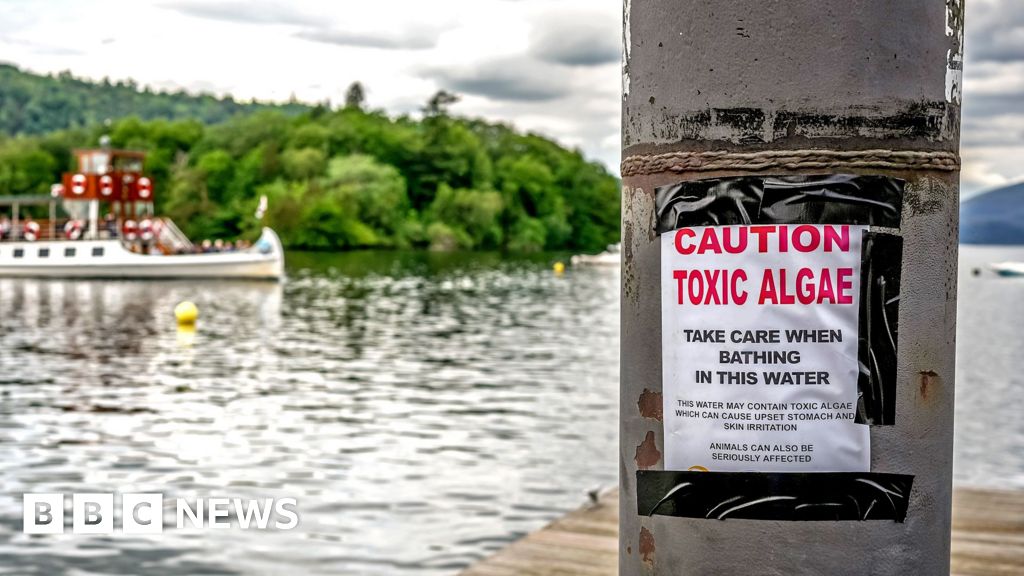 Majority of England's rivers and lakes fail new environmental review