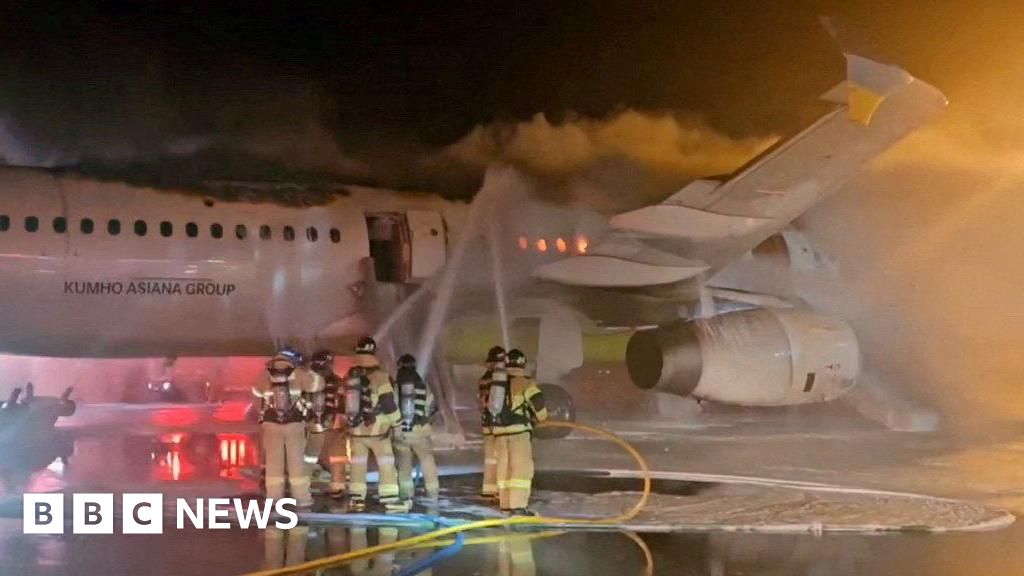 A portable power bank likely caused a fire that engulfed and destroyed a passenger plane in South Korea in January, according to local authorities. Th