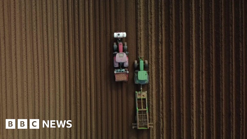 Cornwall Council passes ‘landmark’ farming decision BBC News