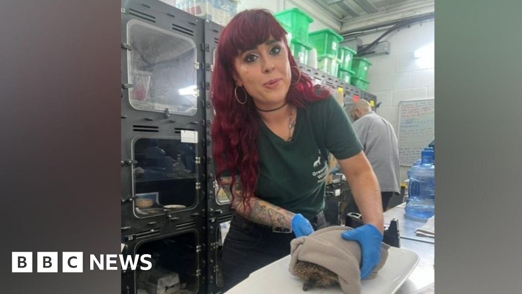 bbc.co.uk - Thomas Magill - Greenwich Wildlife Network faces uncertain future over move