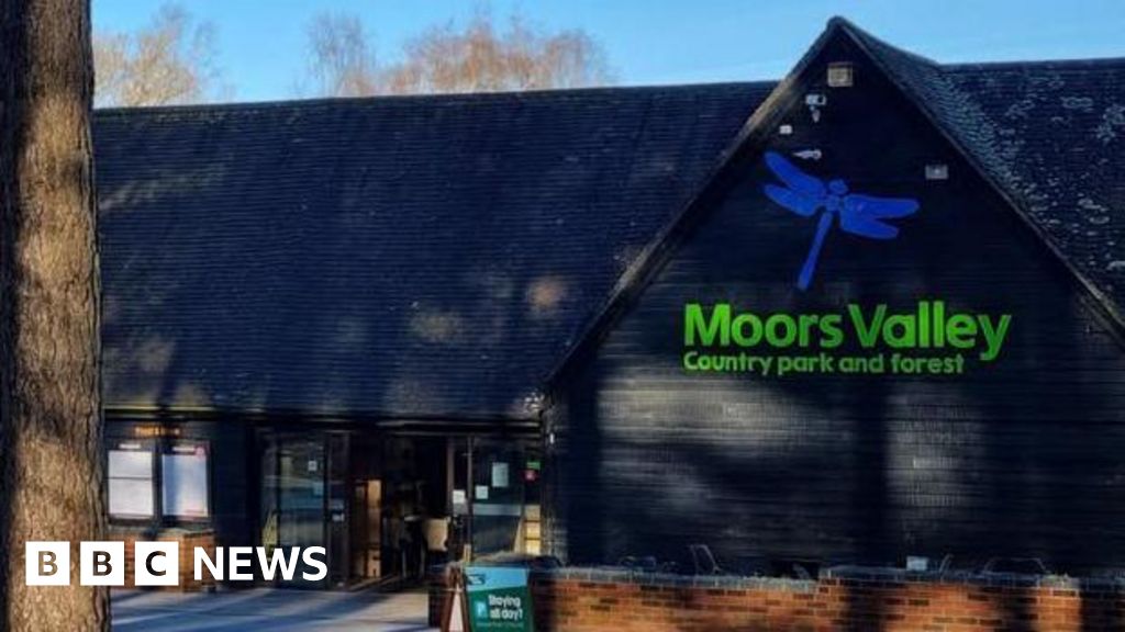Dorset Moors Valley Halloween Trail Reopens After Significant Equipment Theft