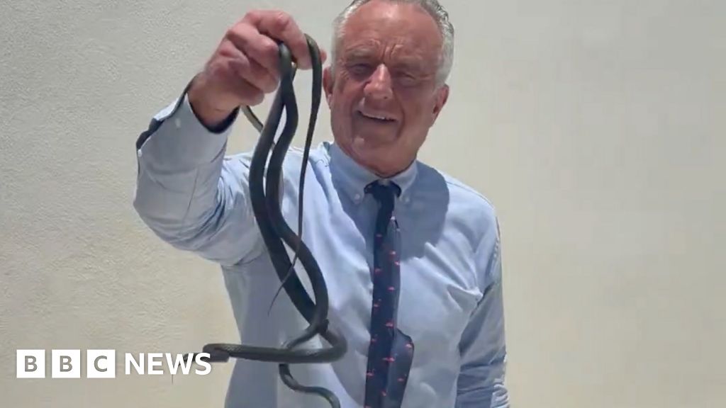 Robert F Kennedy Jr grabs writhing snakes on a Florida patio