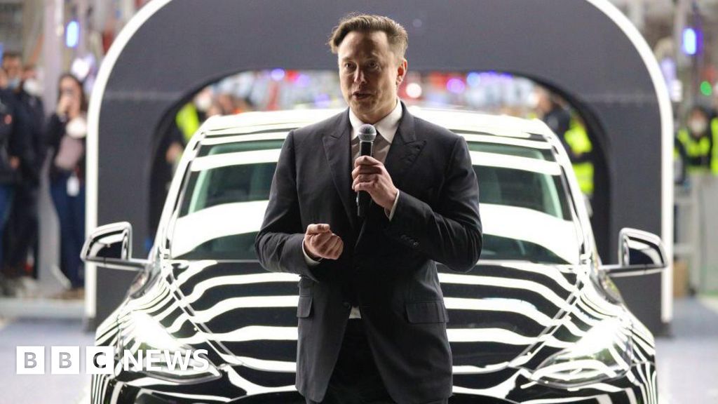 Elon Musk’s Tesla is ‘not interested’ in producing cars in India – minister
