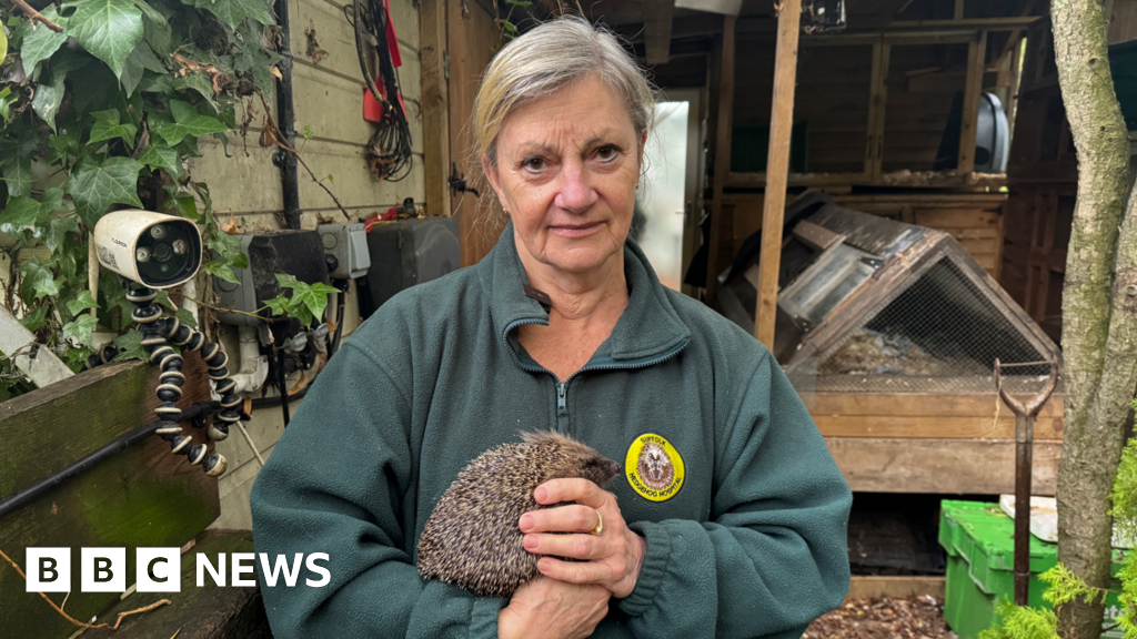 bbc.co.uk - George King - Plans for &pound;2m Long Acre Wildlife Hospital in Kirtling refused - BBC News