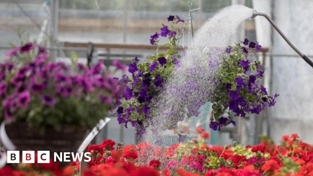 The Grimsby garden centre helping mental health patients