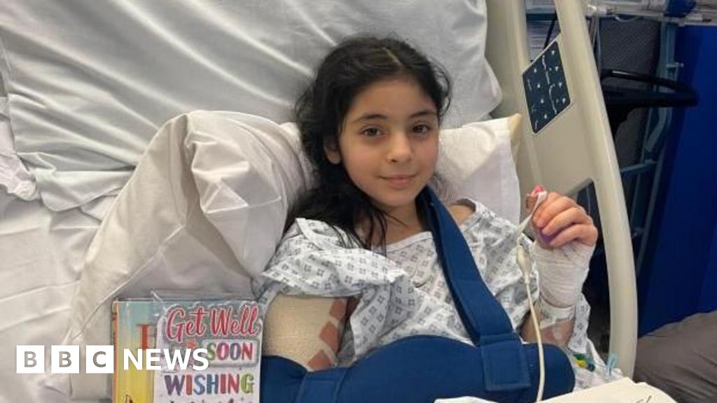 'XL Bully type dog' seized after attack on girl, 10, in Bolton