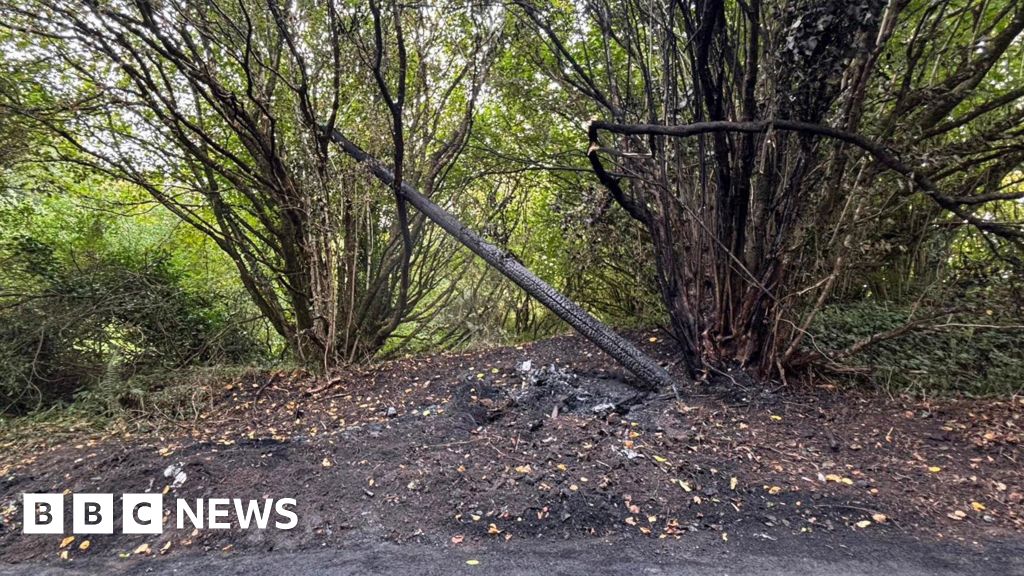 Beaminster broadband set to return after car crash outage