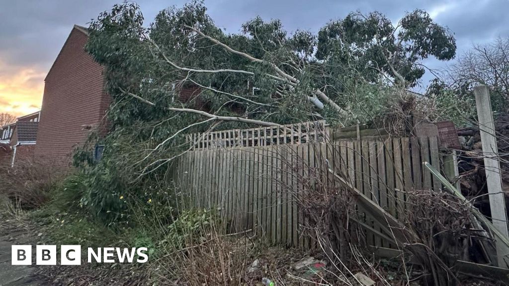 Storm Darragh Tree crashes into back of Birmingham family home