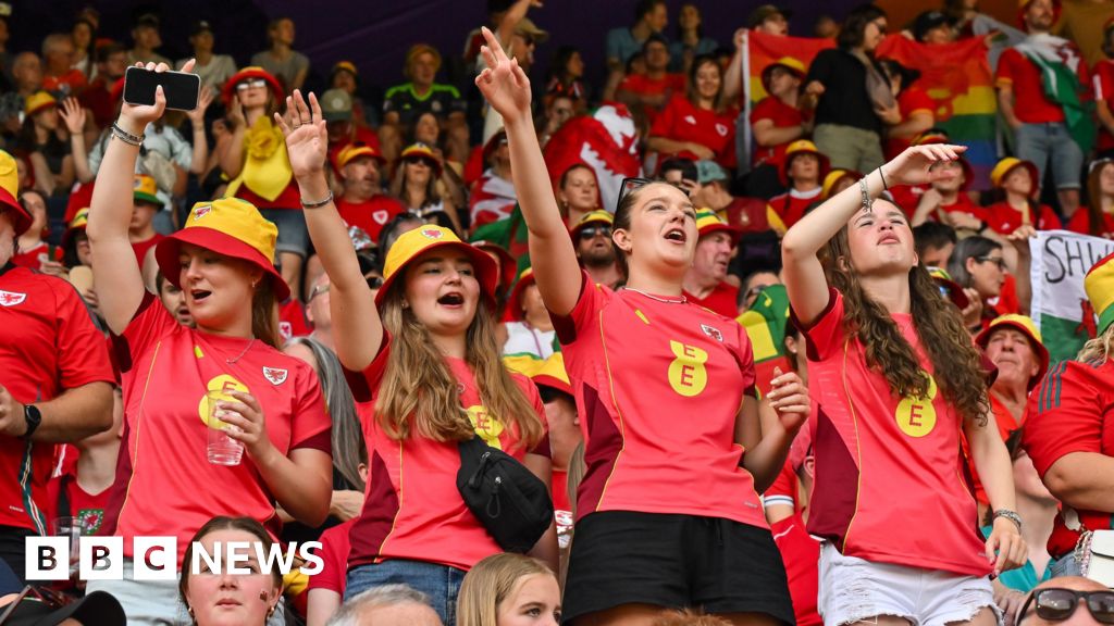 Disappointed Wales fans look to next game after defeat