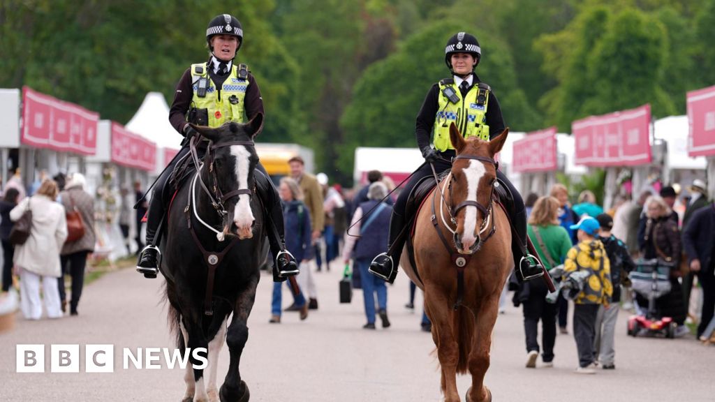 Soldier dies after falling from horse at Royal Windsor Horse Show
