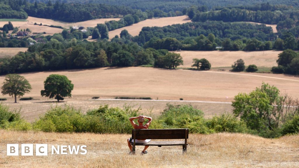 bbc.co.uk - Jacob Panons - South East of England could see highs of 35C as part of heatwave