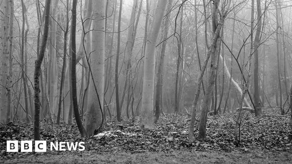 Murdered women are defended by superficial grave photos