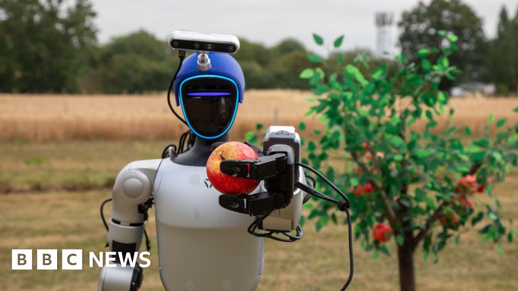 bbc.co.uk - Paul Shuttleworth - Humanoid robots are 'next stage' in farming